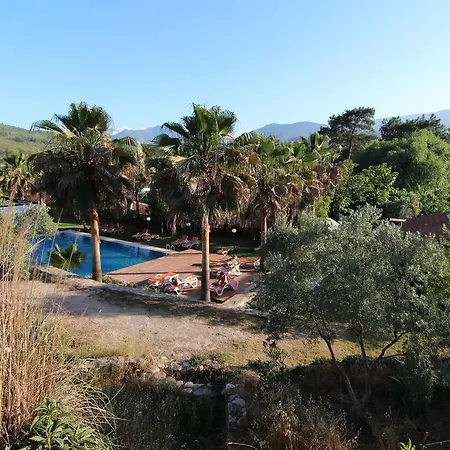 Guest house Mitos 3*